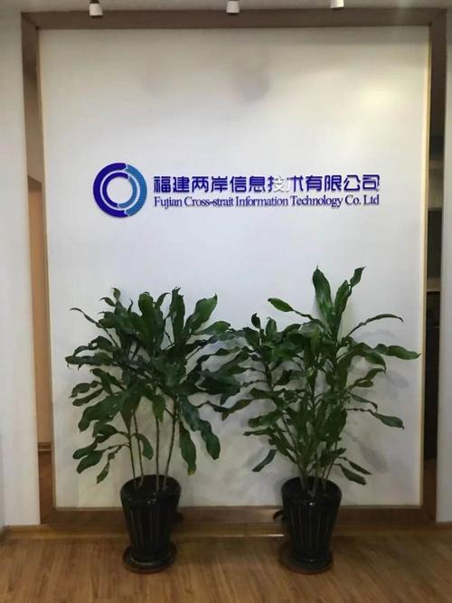 福建两岸信息技术以互联网文献信息开发应用为核心的软件企业